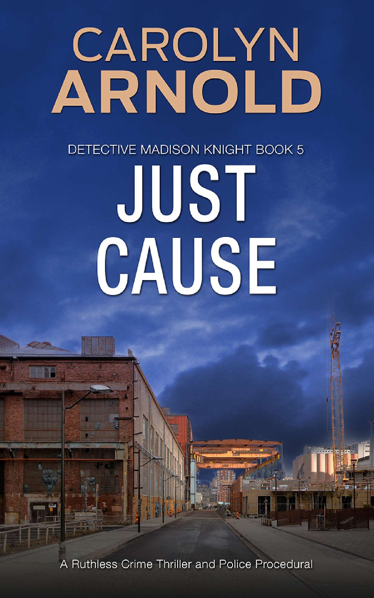 Just Cause - Detective Madison Knight Series 5