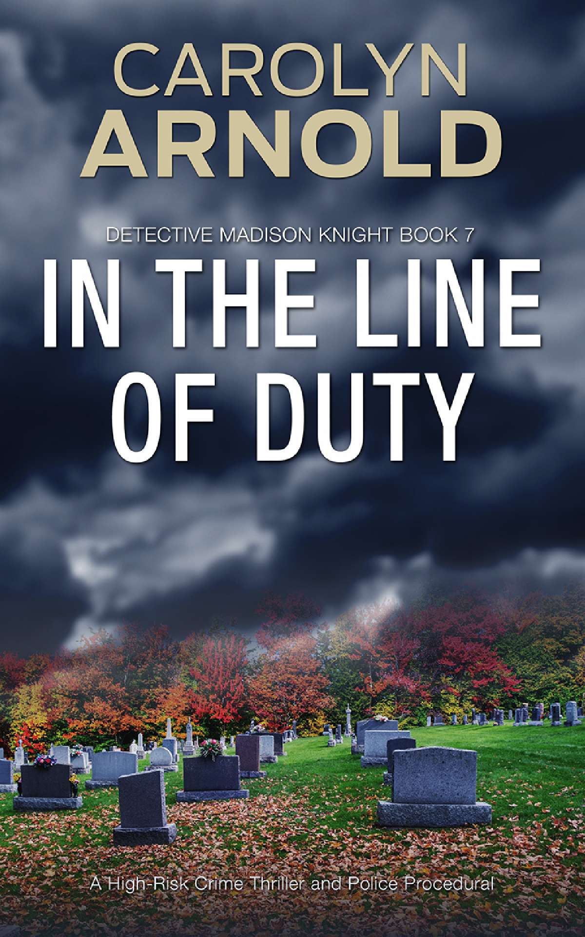 In the Line of Duty - Detective Madison Knight Series 7