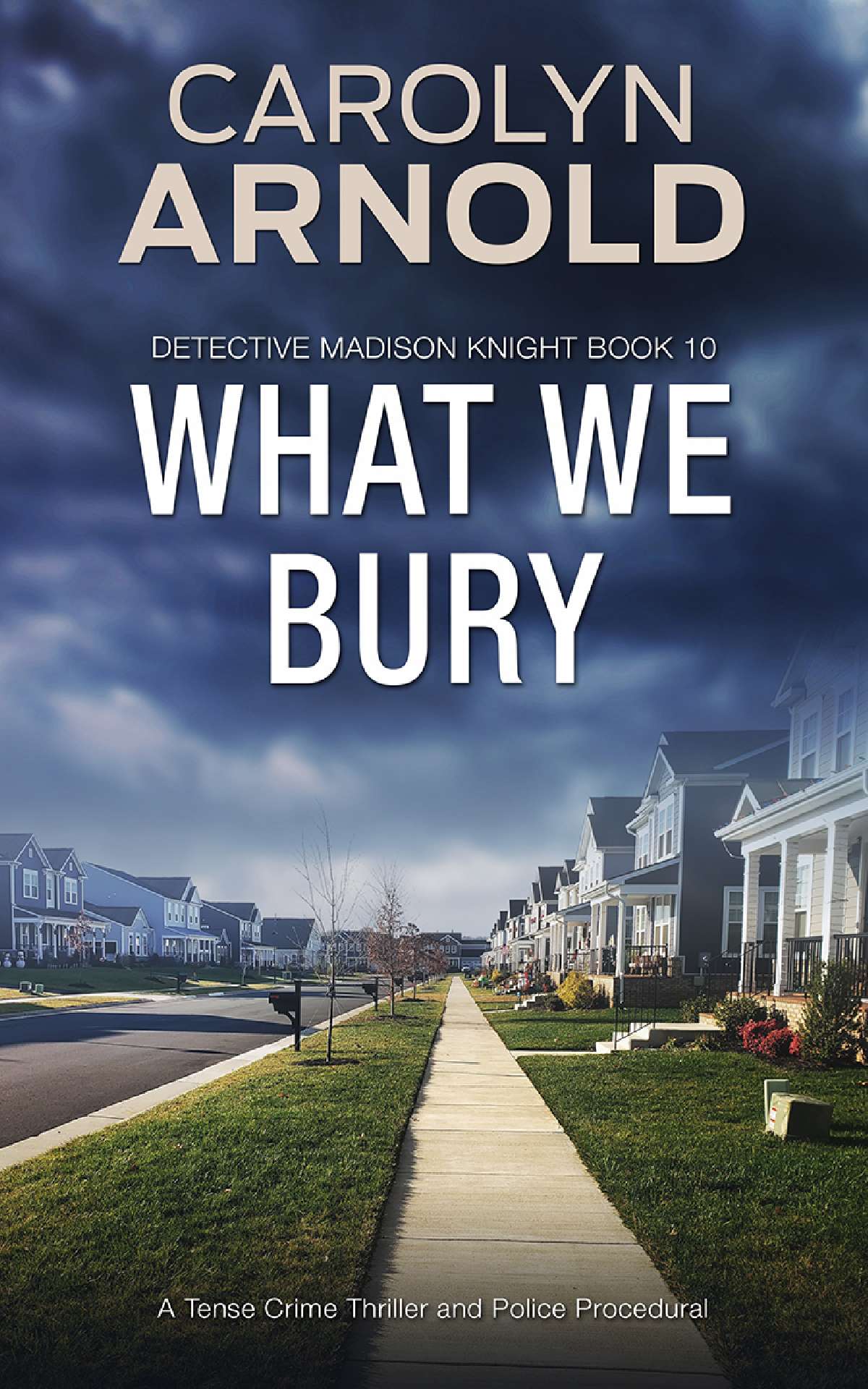 What We Bury - Detective Madison Knight Series 10