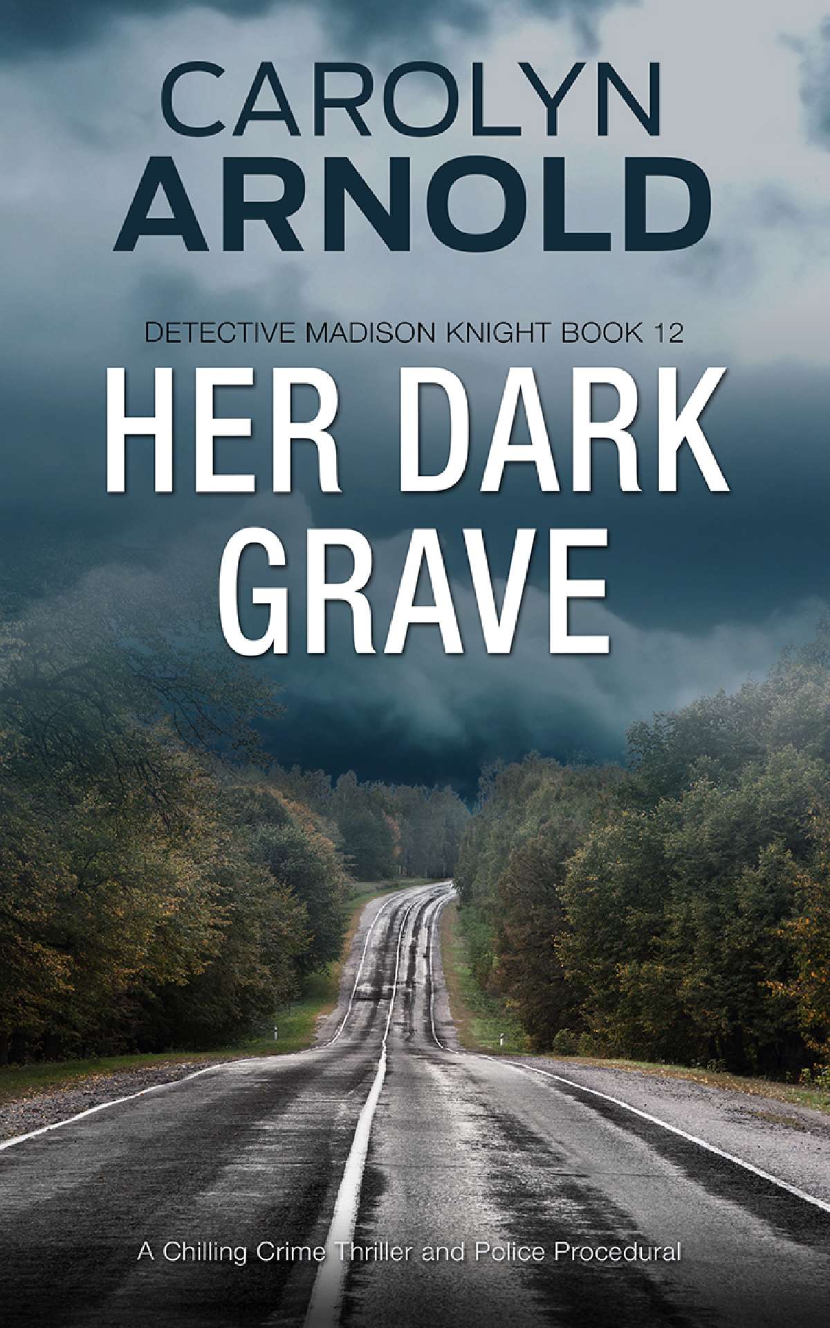 Her Dark Grave - Detective Madison Knight Series 12