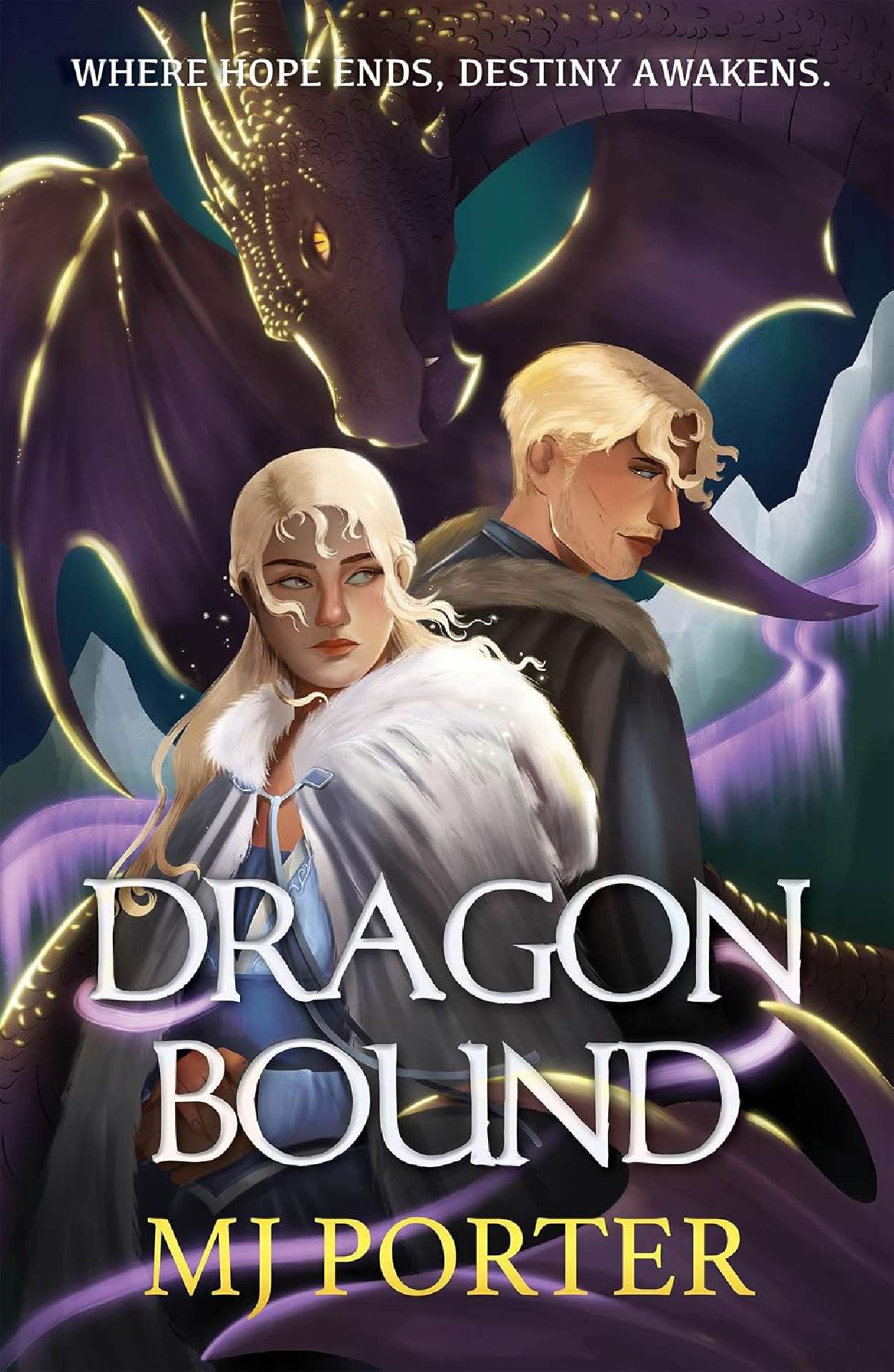 Dragonbound - Ice and Fire 1