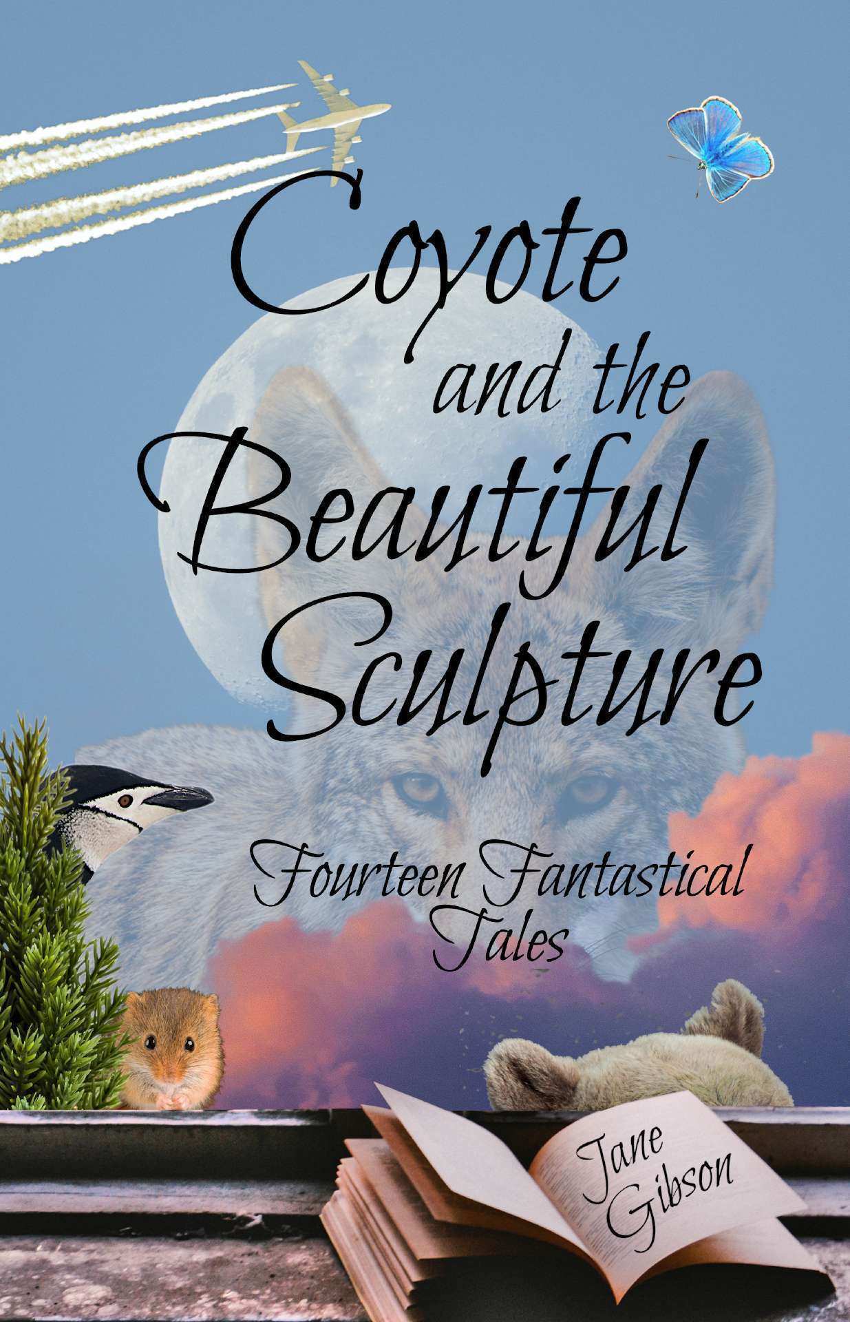 Coyote and the Beautiful Sculpture