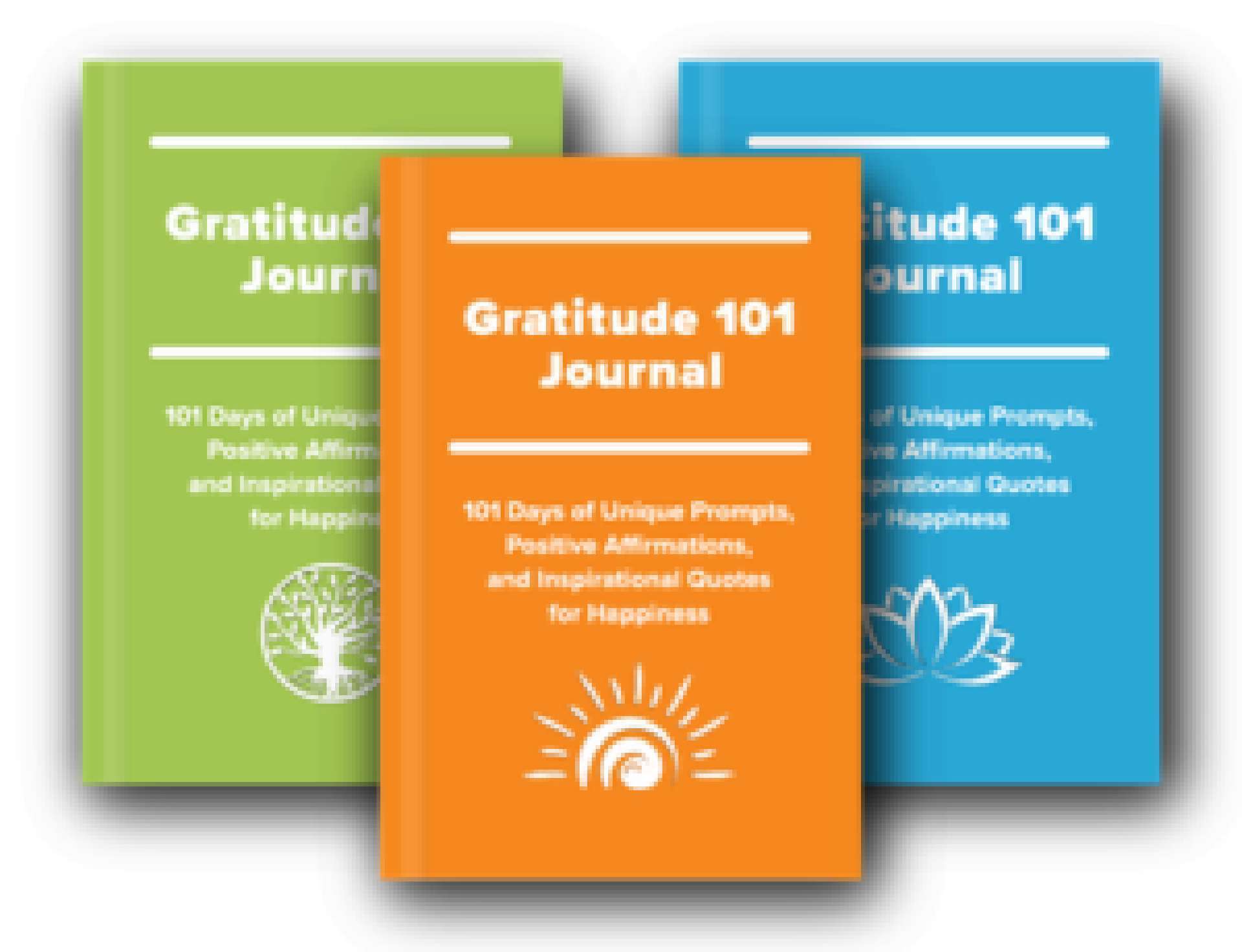 Gratitude 101 Journal: 101 Days of Unique Prompts, Positive Affirmations, and In Gratitude 101 Journal: 101 Days of Unique Prompts, Positive Affirmations, and In