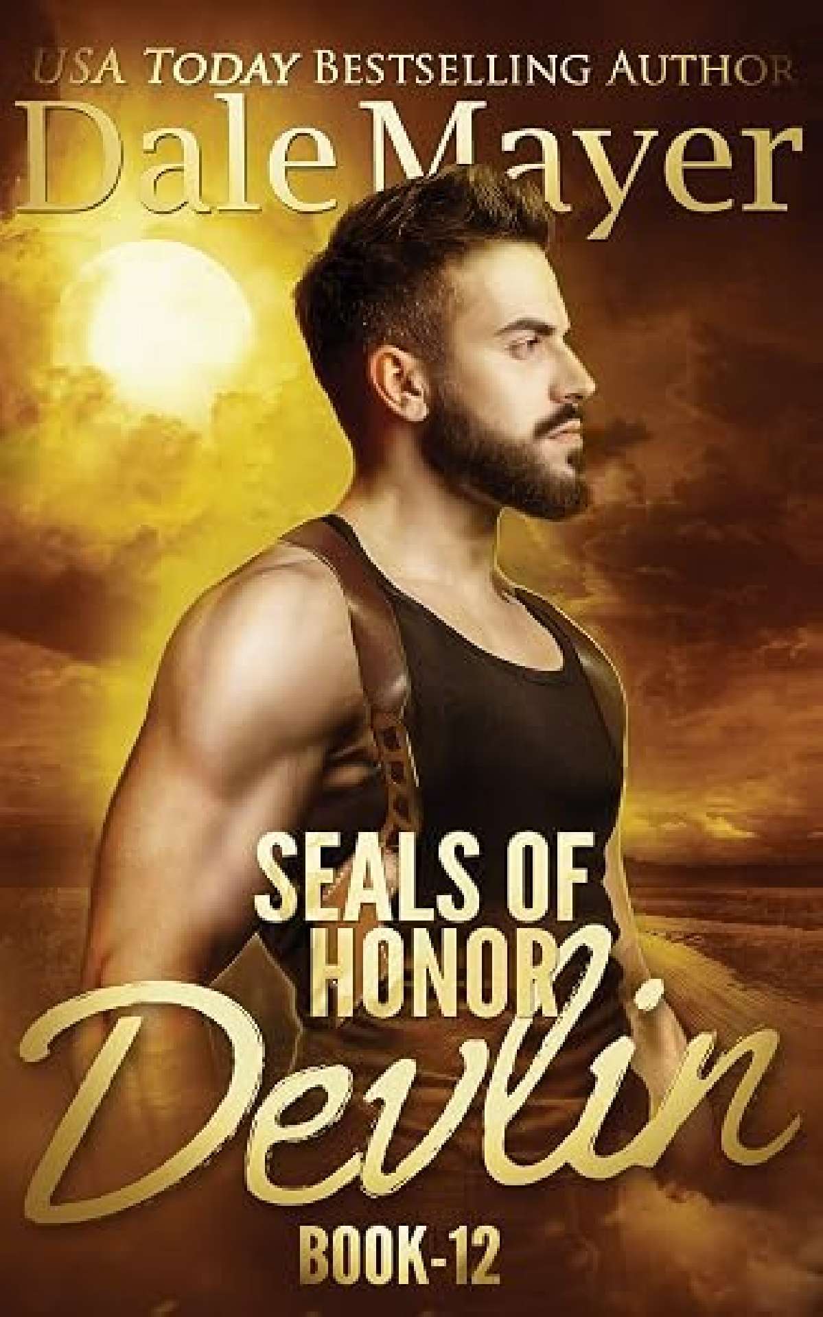 SEALs of Honor: Devlin - SEALS of Honor 12