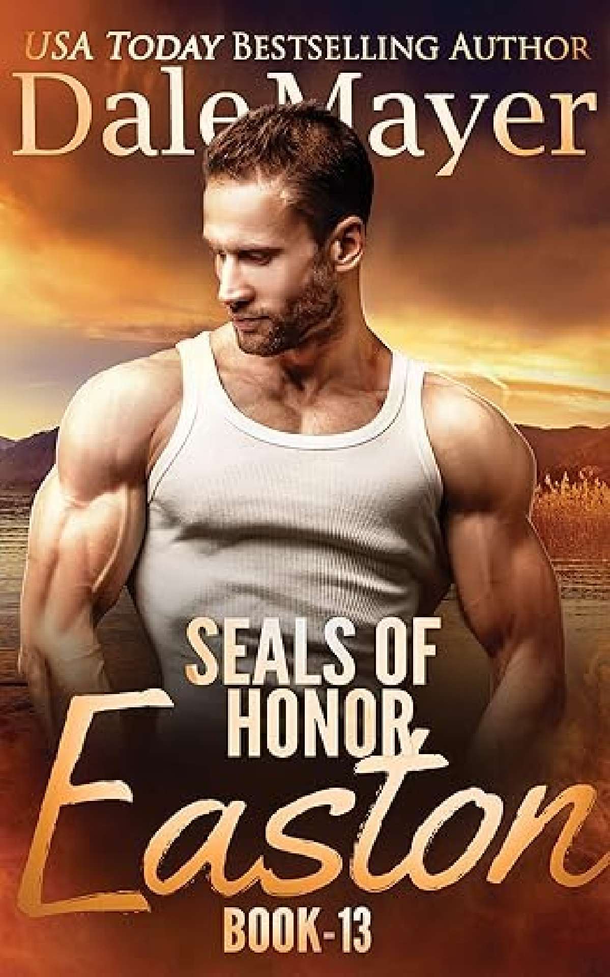 SEALs of Honor: Easton - SEALS of Honor 13