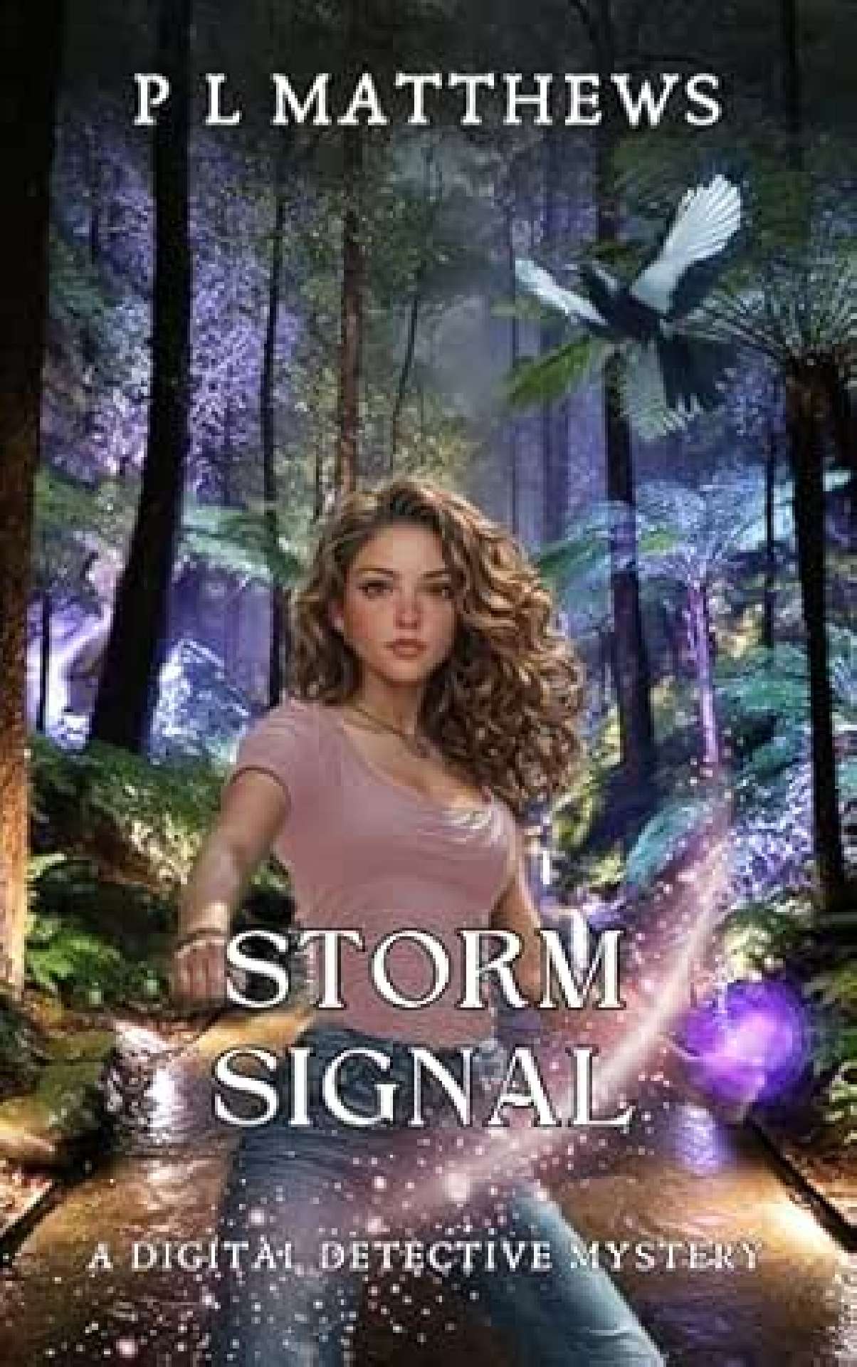 Storm Signal - A Digital Detective Mystery 4 Storm Signal - A Digital Detective Mystery 4
