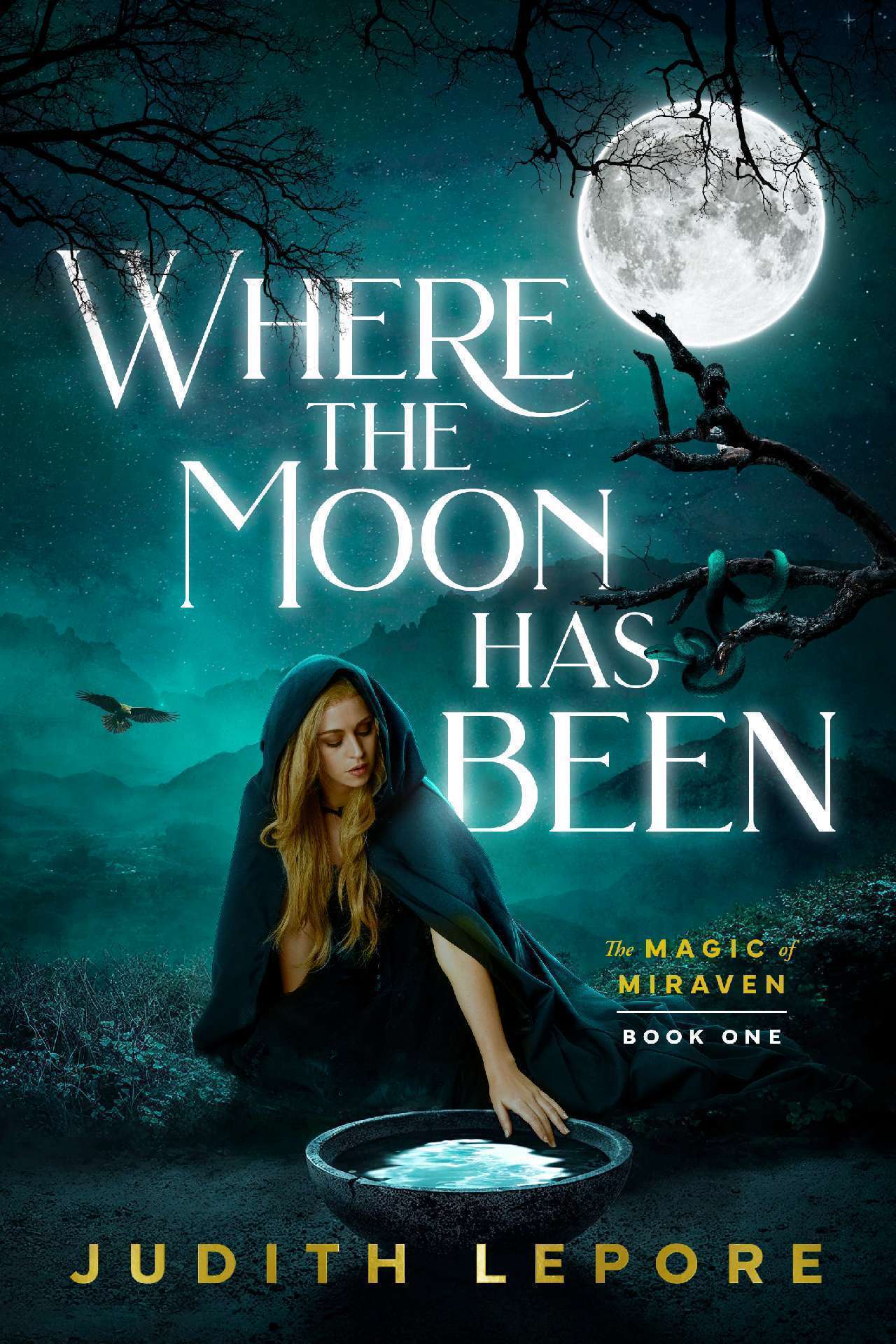 Where the Moon Has Been - Magic of Miraven 1