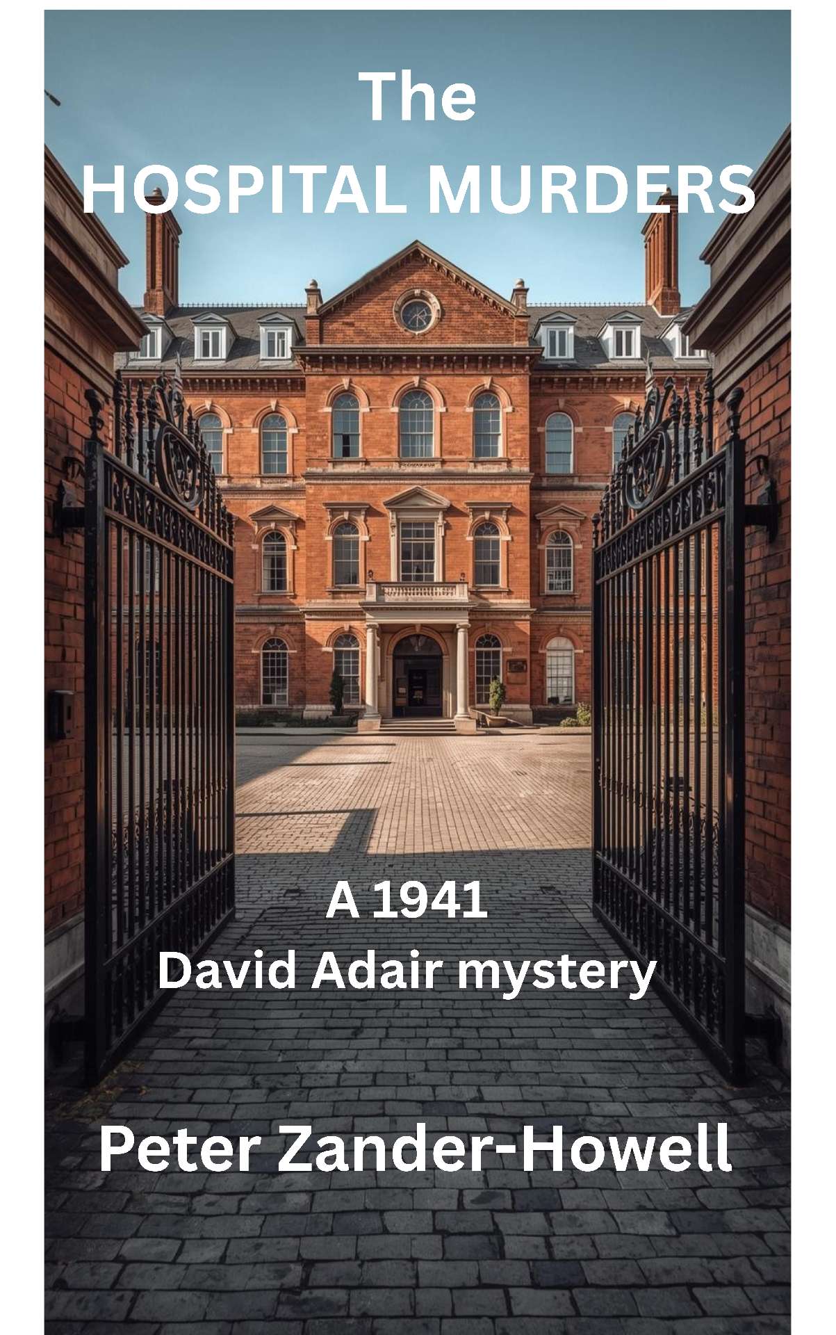 The Hospital Murders - David Adair series 6