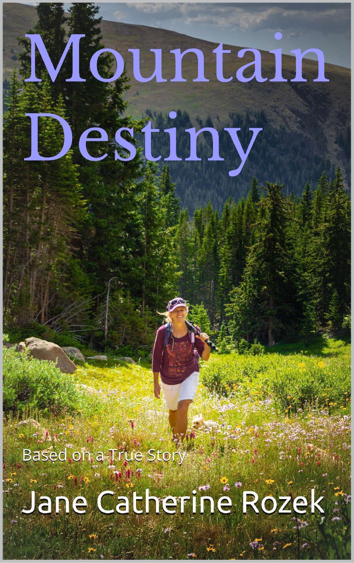 Mountain Destiny: Based on a True Story - The Spirit Quest Series, Book 4
