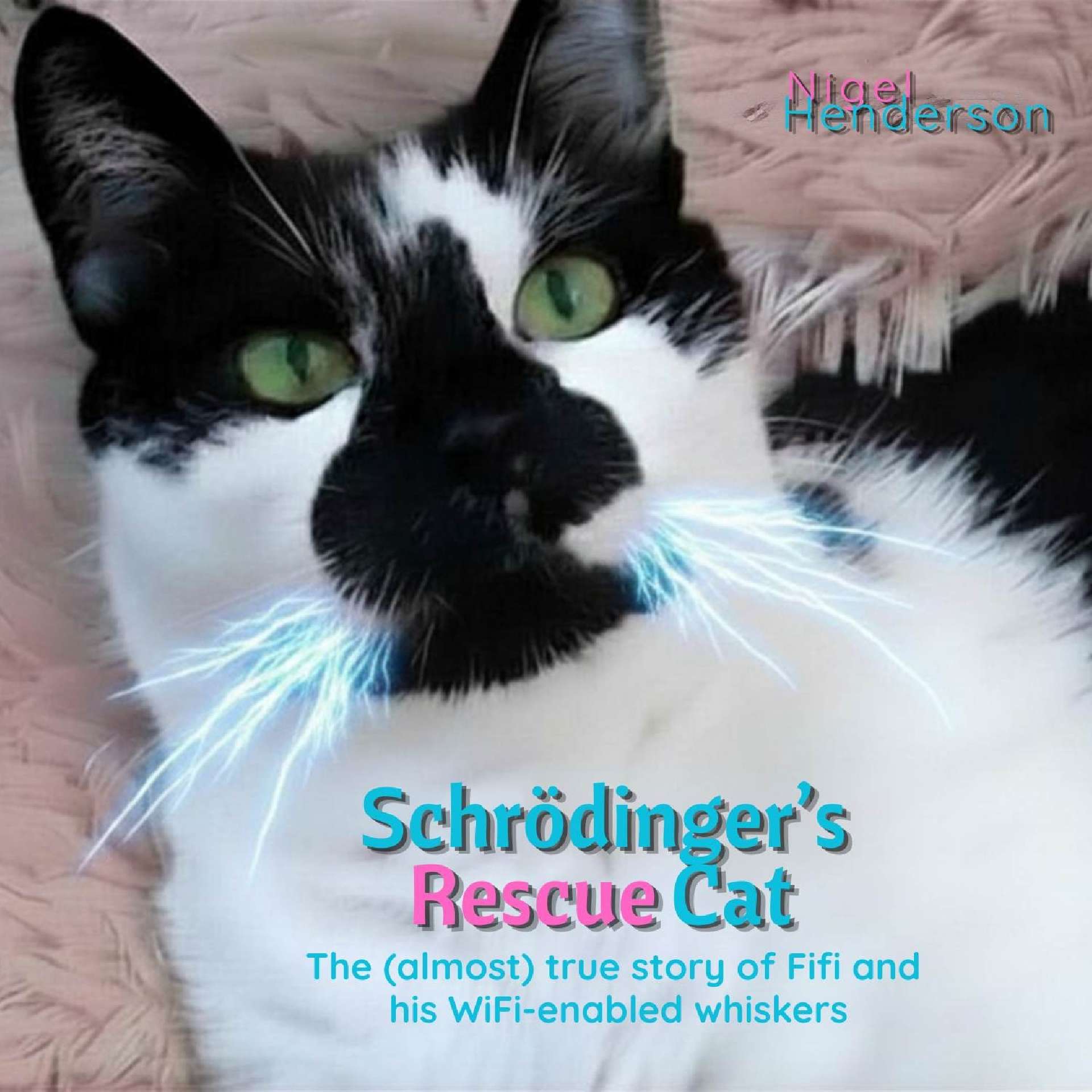 SCHRODINGER'S RESCUE CAT