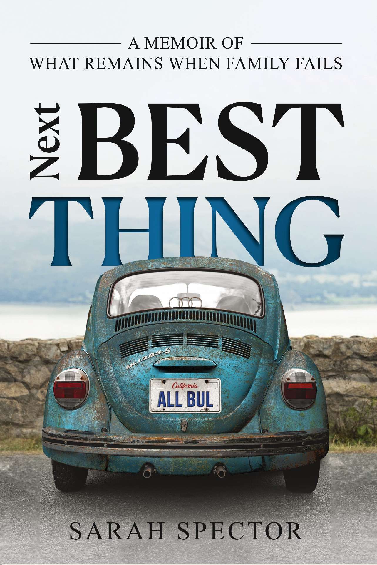 Next Best Thing: A Memoir of What Remains When Family Fails