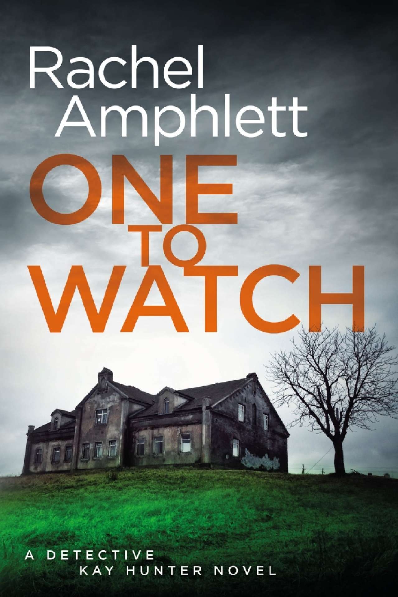 One to Watch - Detective Kay Hunter 3