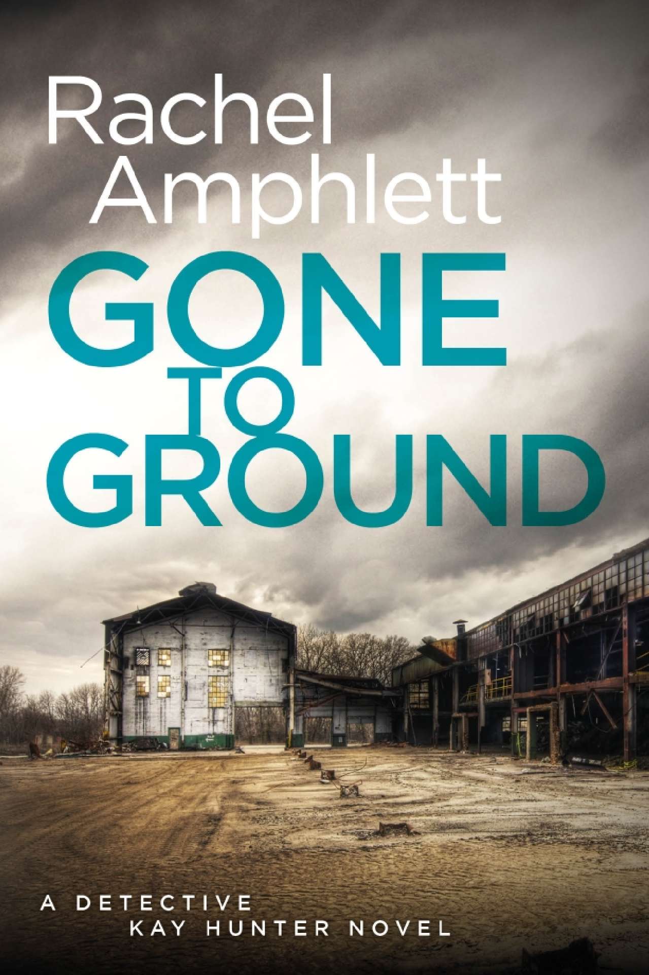 Gone to Ground - Detective Kay Hunter 6