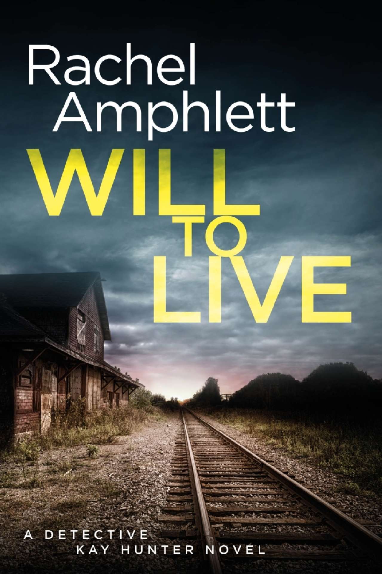 Will to Live - Detective Kay Hunter 2