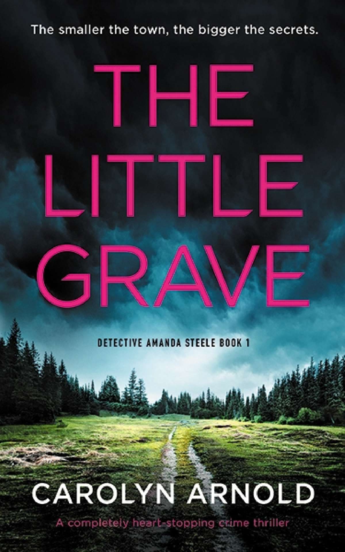 The Little Grave - Detective Amanda Steele Series 1