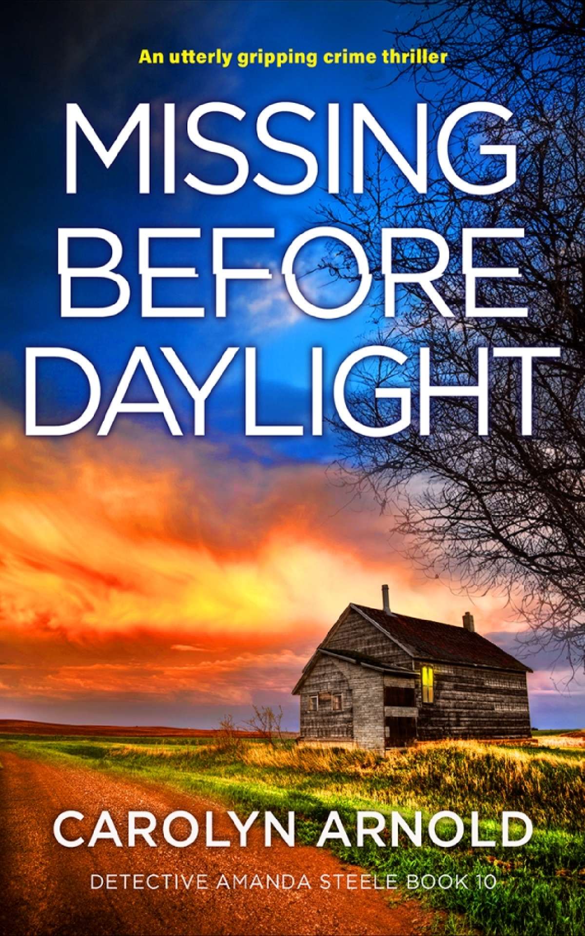 Missing Before Daylight - Detective Amanda Steele Series 10