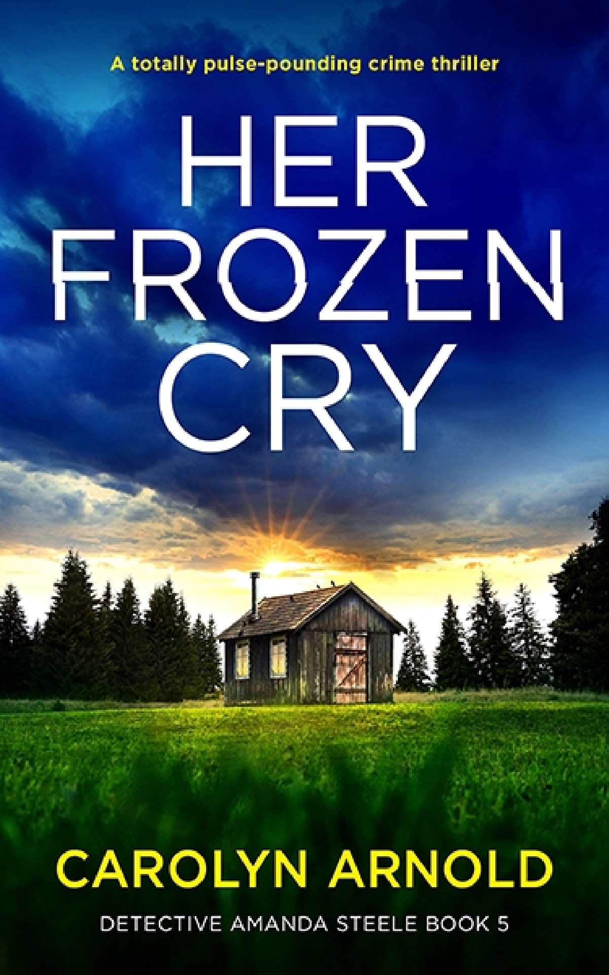 Her Frozen Cry - Detective Amanda Steele Series 5