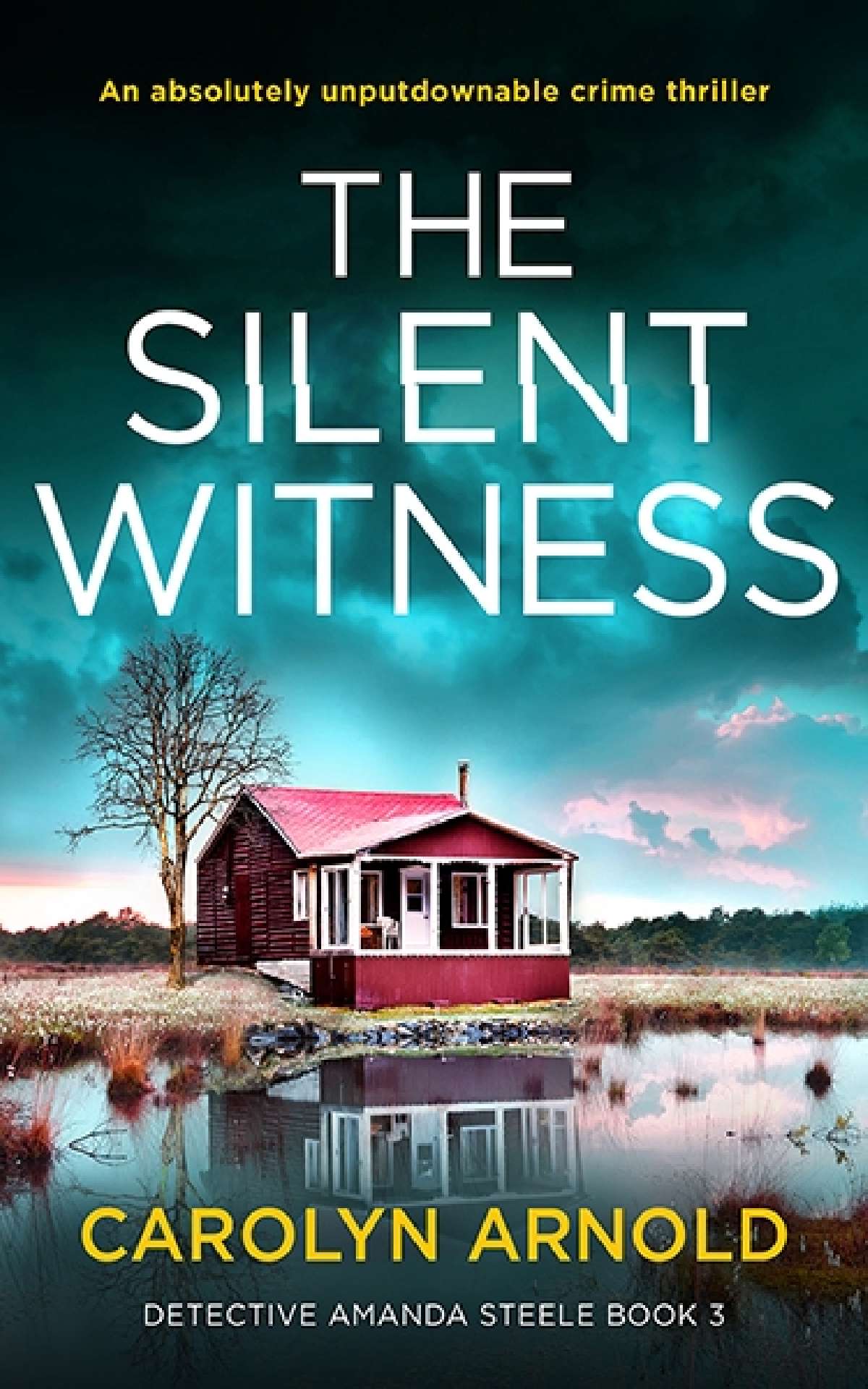 The Silent Witness - Detective Amanda Steele Series 3