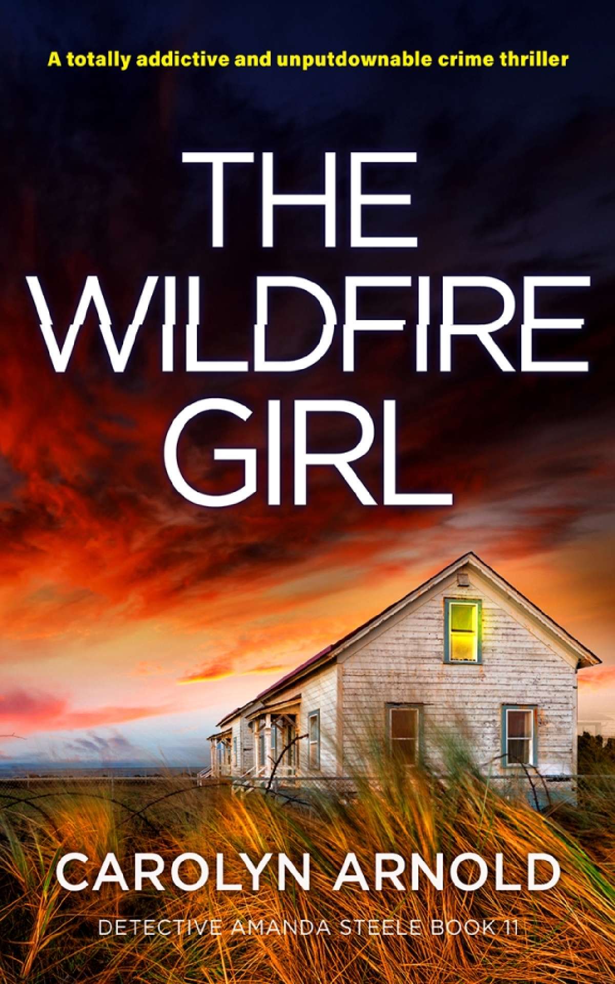 The Wildfire Girl - Detective Amanda Steele Series 11