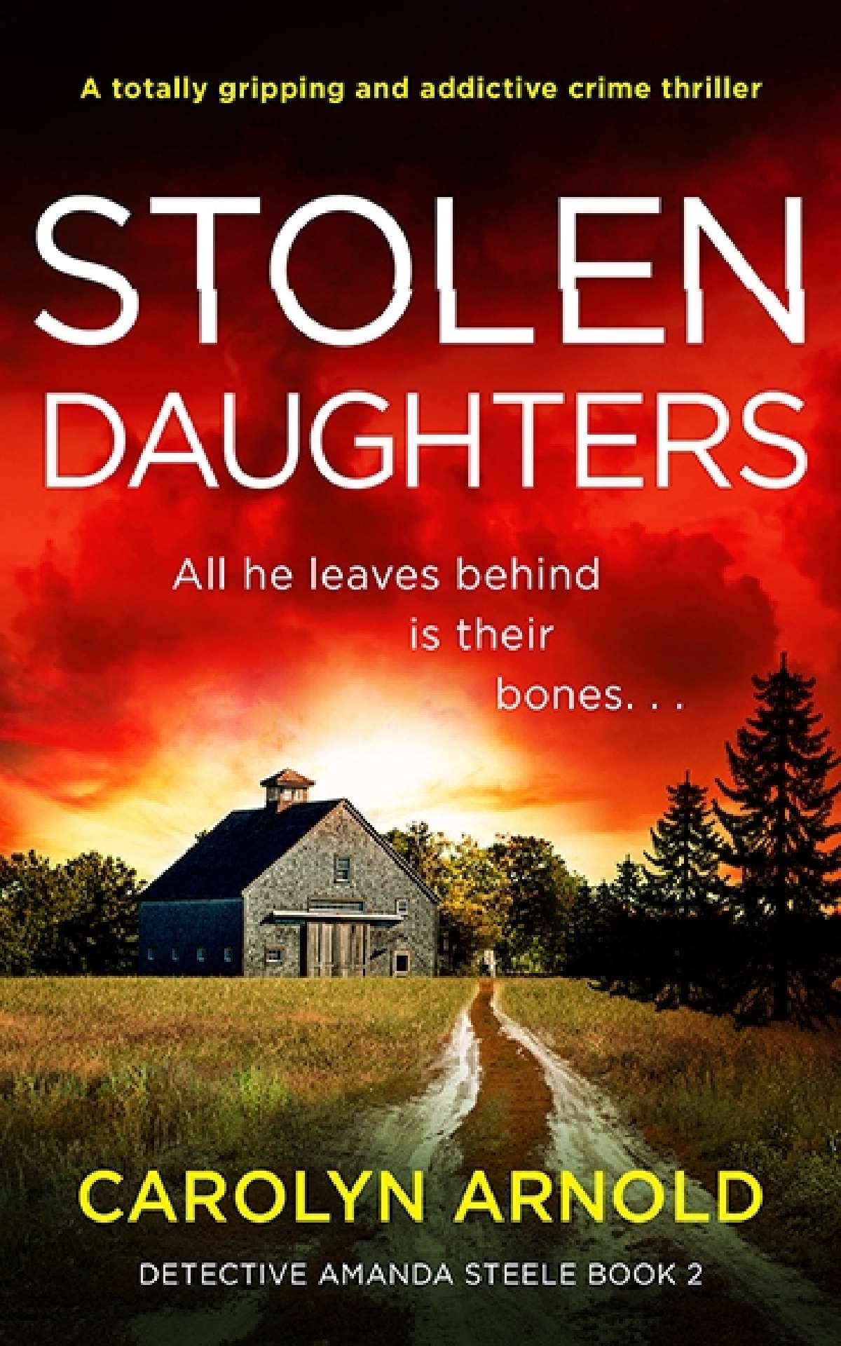 Stolen Daughters - Detective Amanda Steele Series 2