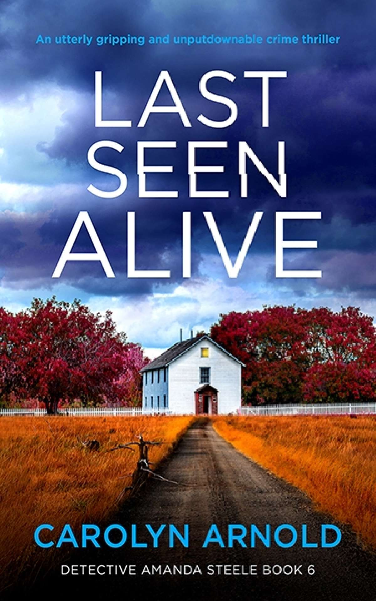 Last Seen Alive - Detective Amanda Steele Series 6