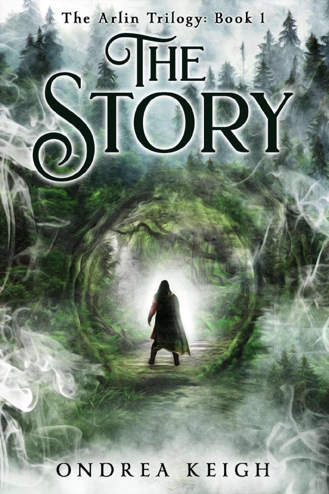 The Story - The Arlin Trilogy