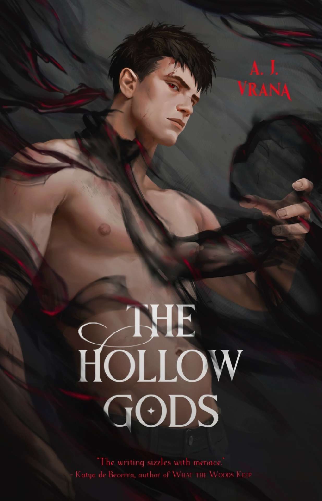 The Hollow Gods - The Chaos Cycle 1