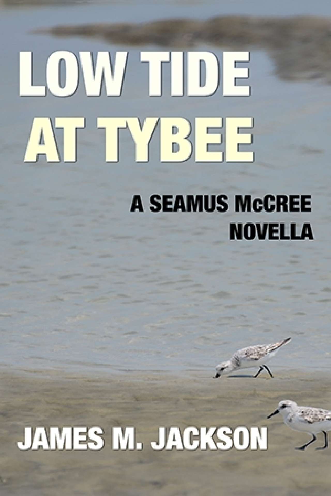 Low Tide at Tybee:  A Seamus McCree Novella - Seamus McCree 6.75
