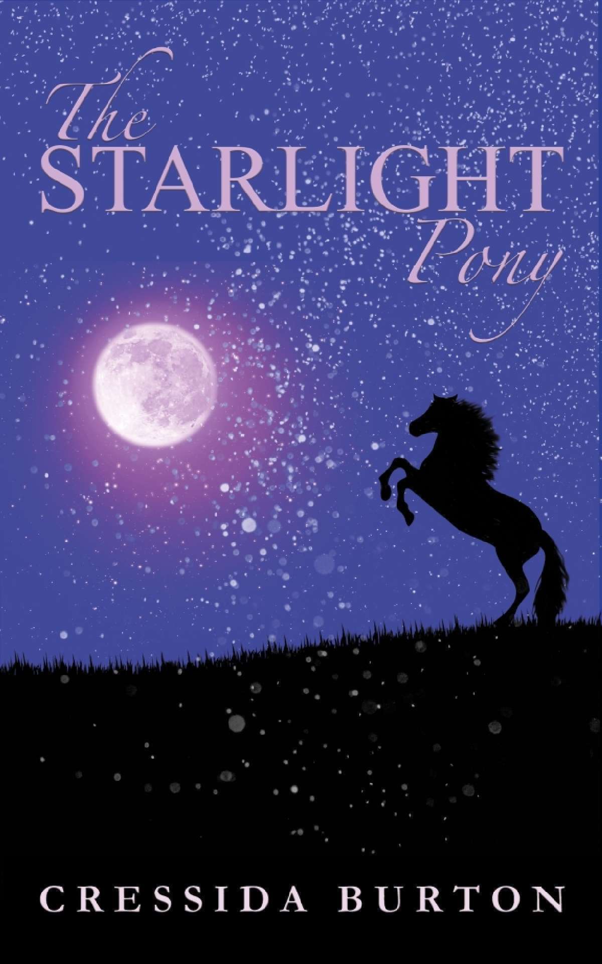 The Starlight Pony