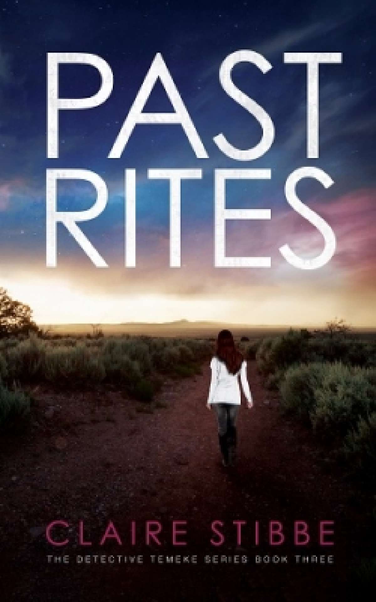 PAST RITES - Book 3 in the Detective Temeke Crime Series