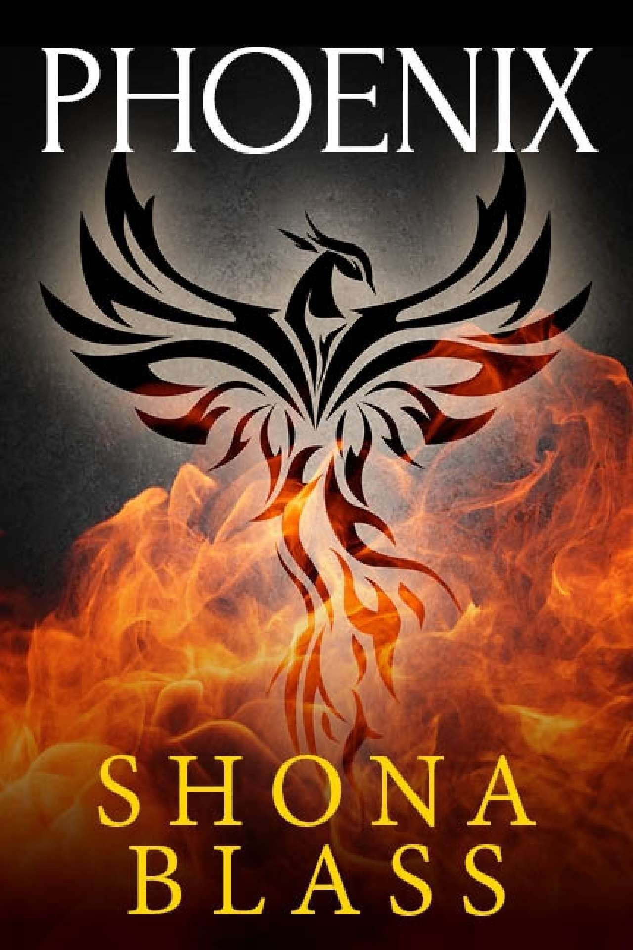 Phoenix - The Kingfisher Series 3