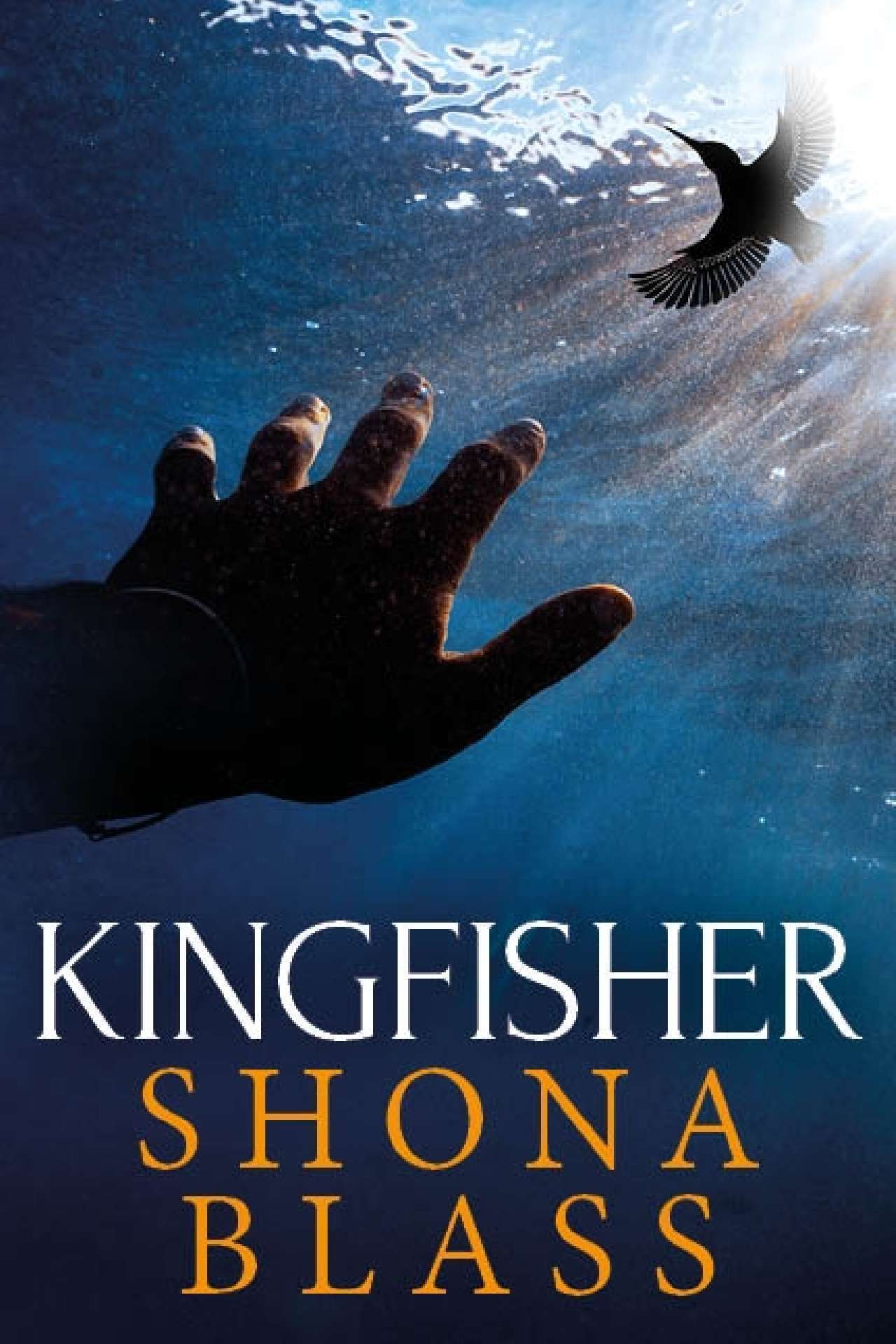 Kingfisher - The Kingfisher Series 1