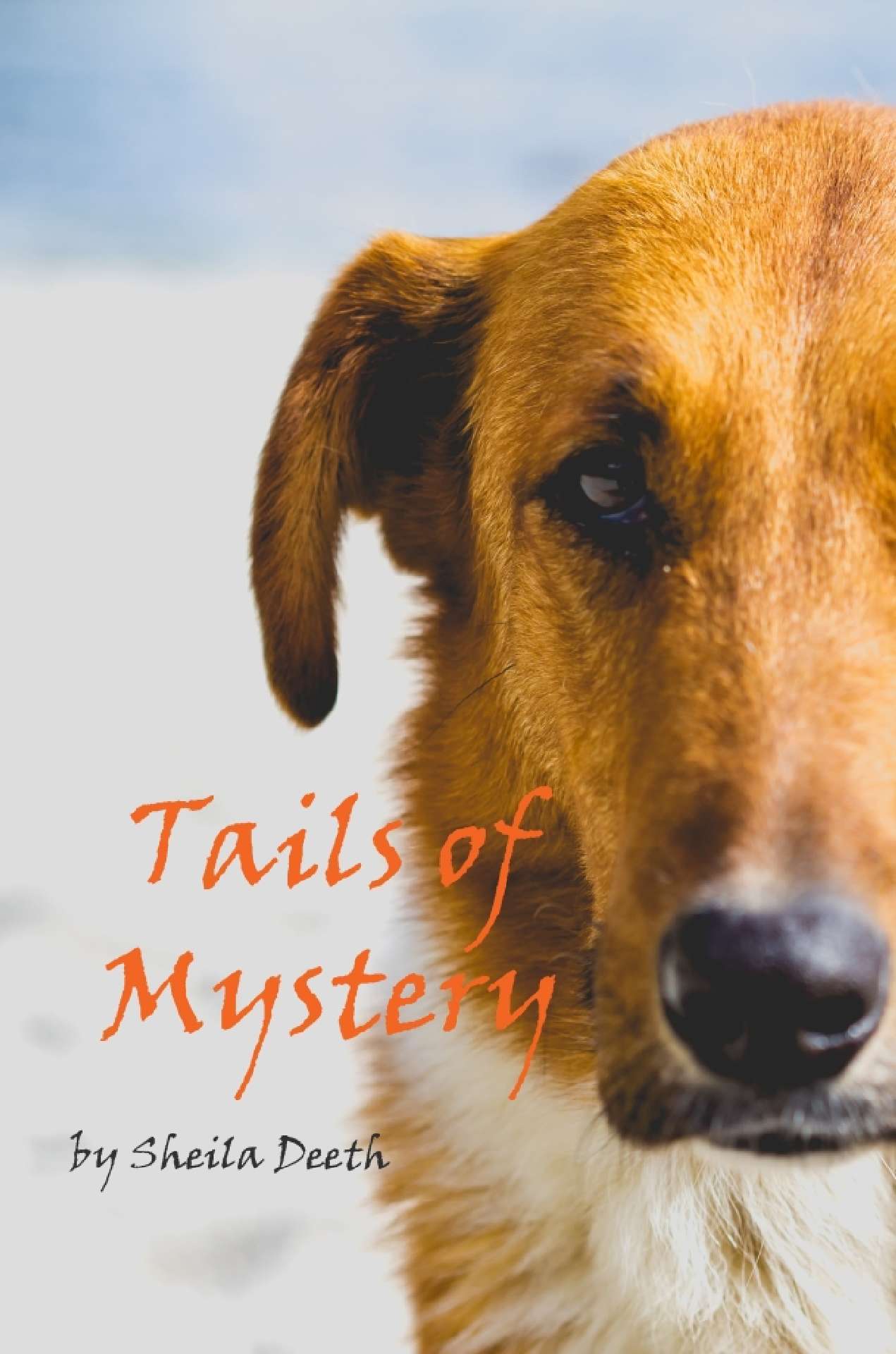 Tails of Mystery - Fred, Joe, Kitkit, Cat & Co 1