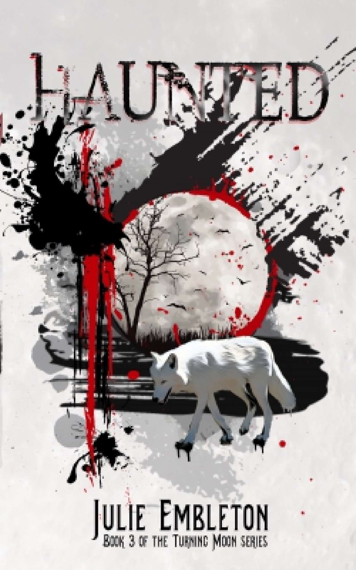 Haunted - Turning Moon 3