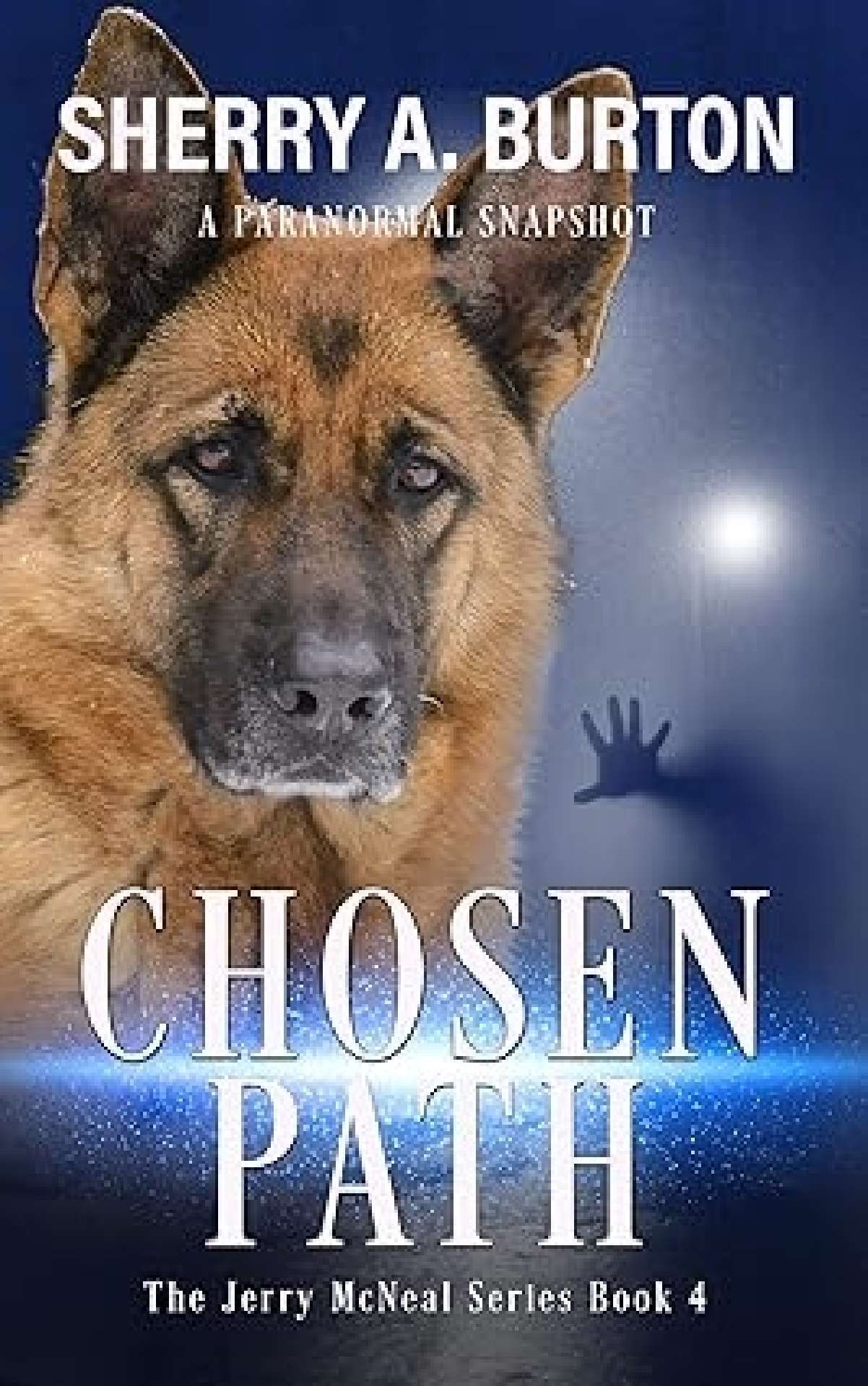 Chosen Path (book 4) - The Jerry McNeal Series