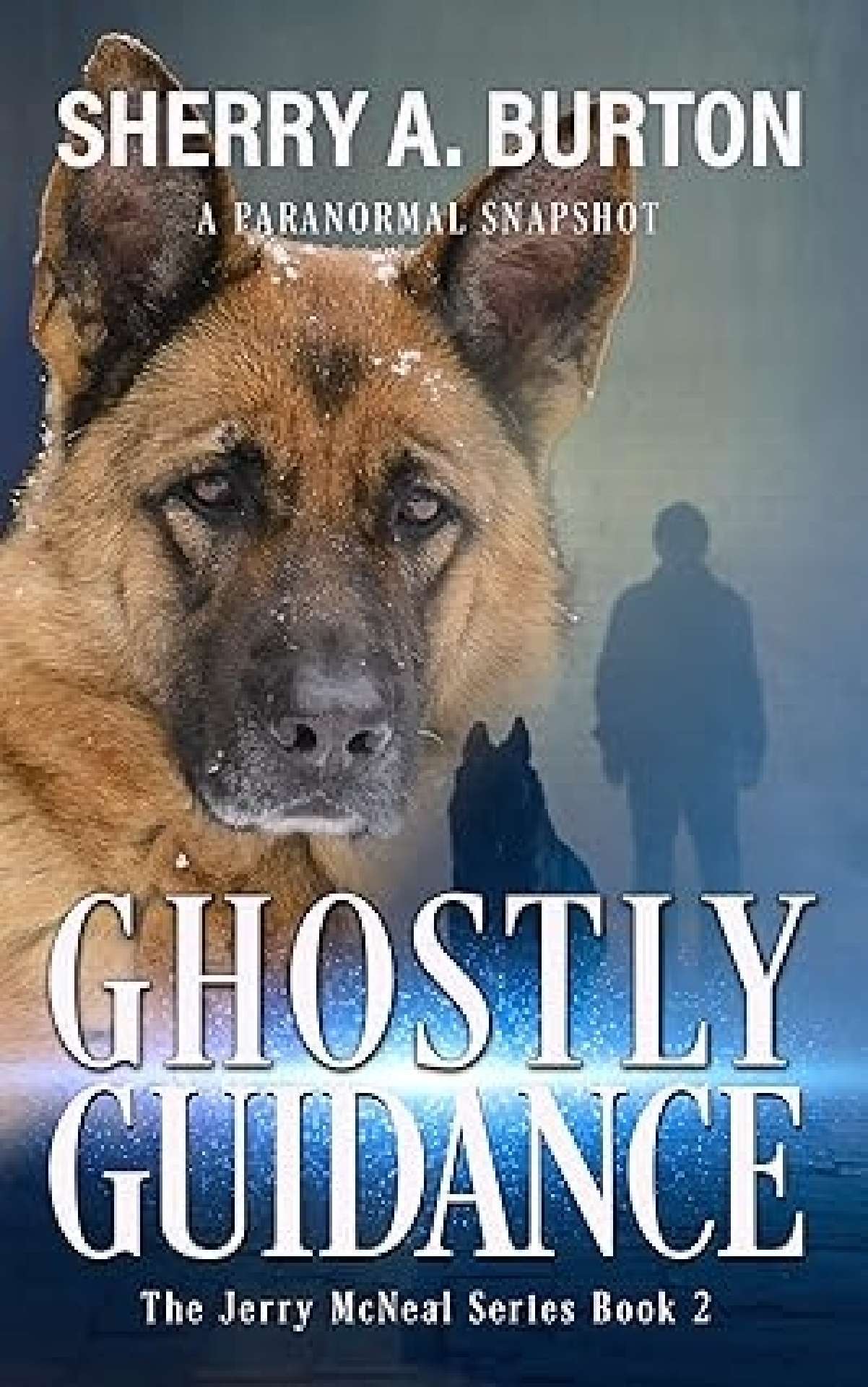 Chosen Path (book 2) - The Jerry McNeal Series